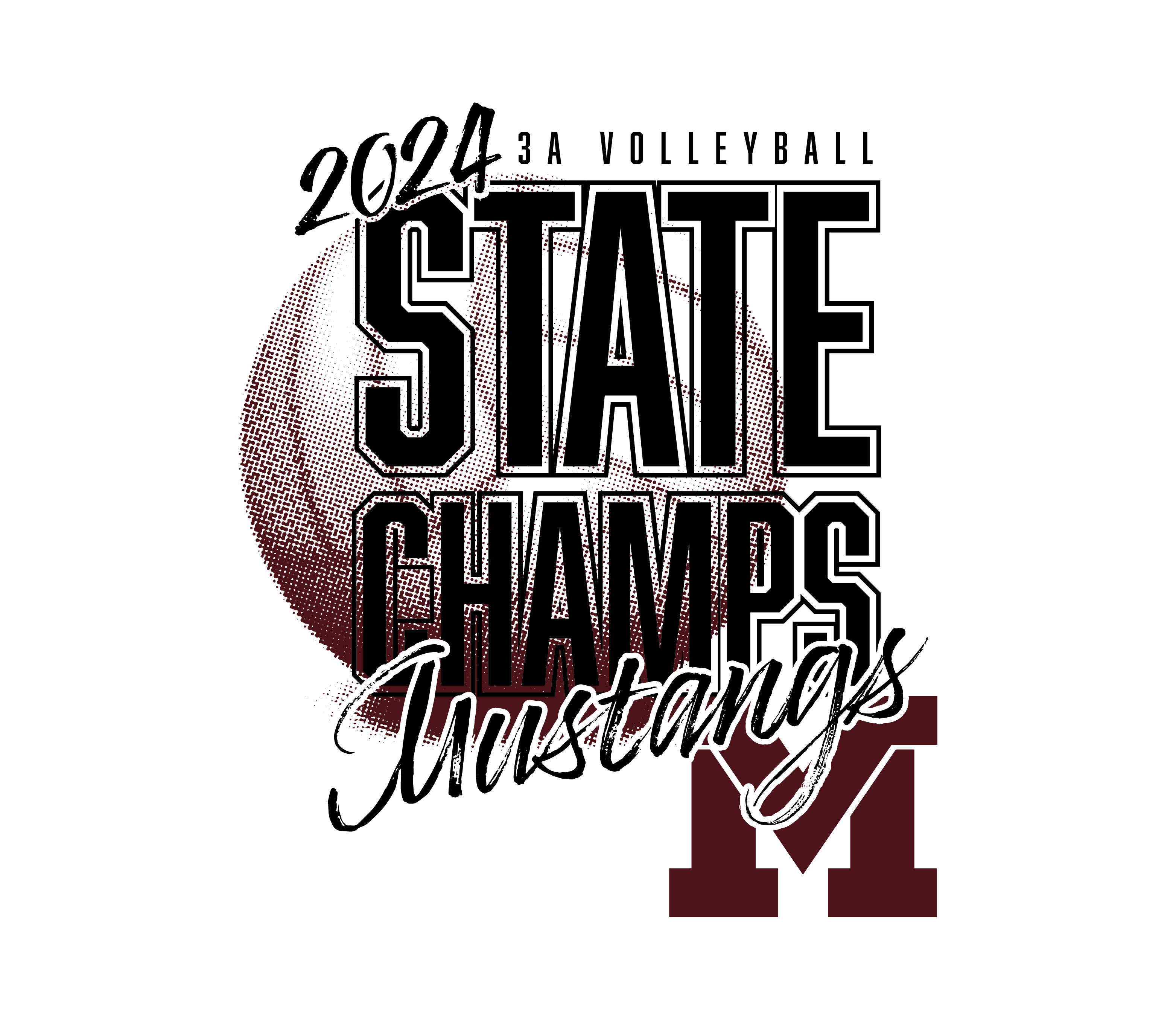 Mount Vernon Volleyball State Champions